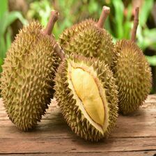 Tebak Jenis Durian